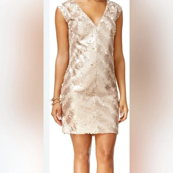NWT Rachel Rachel Roy Elegant Beige sequin Sleeveless v neck Dress sis 14 - Picture 3 of 3